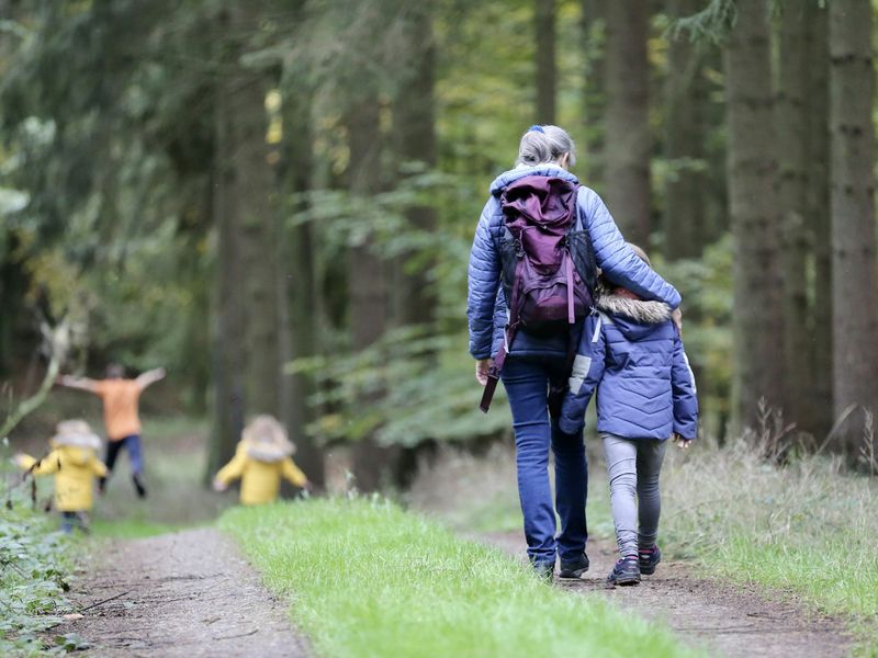 Grandparent and child walking on a forest path